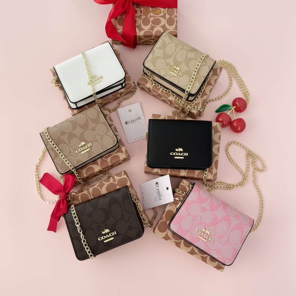 MINI CARTERA COACH