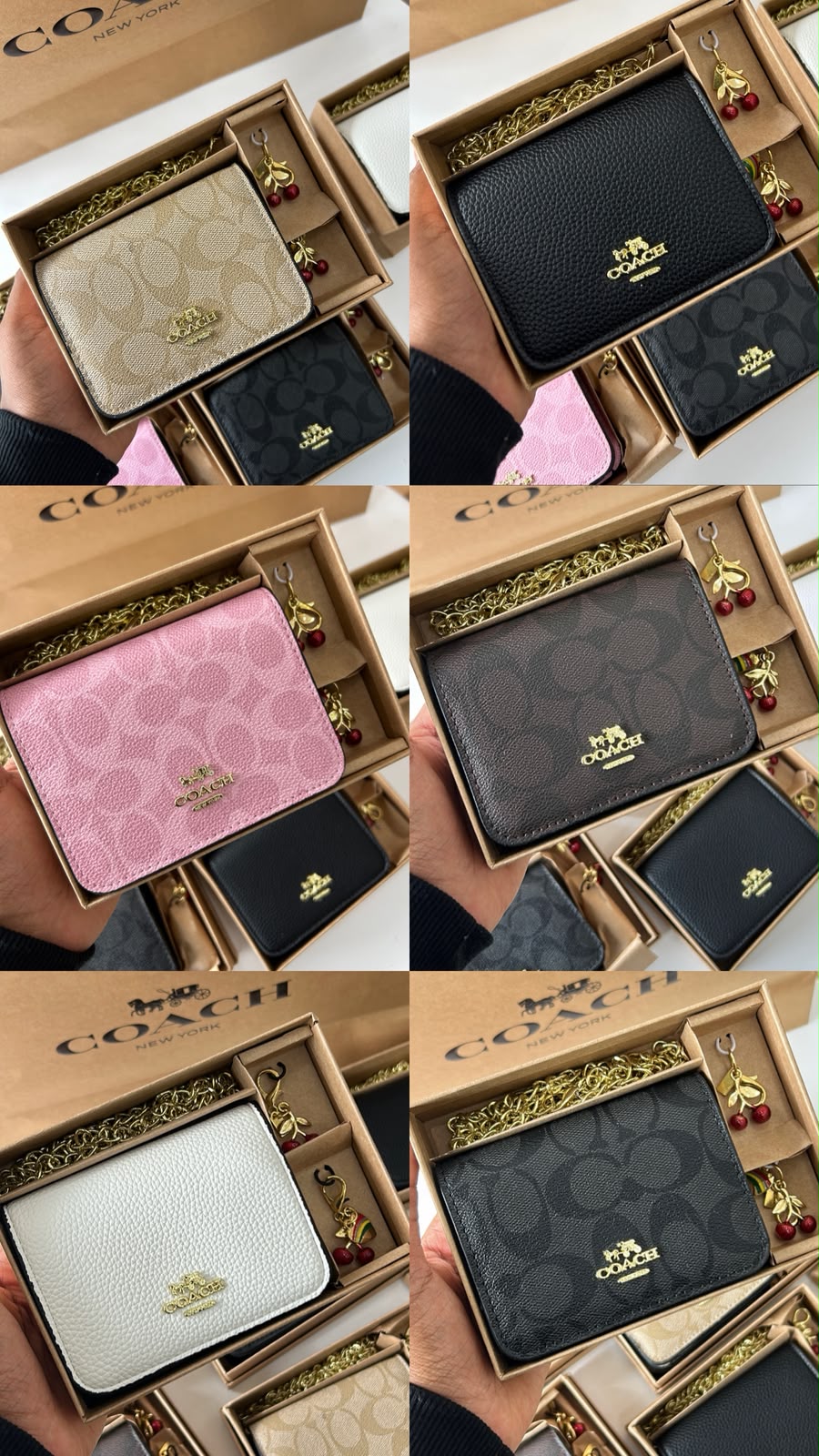 MINI CARTERA COACH